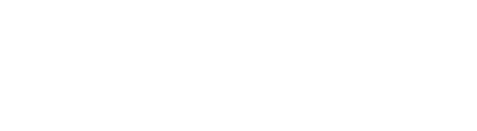 Kamieniec